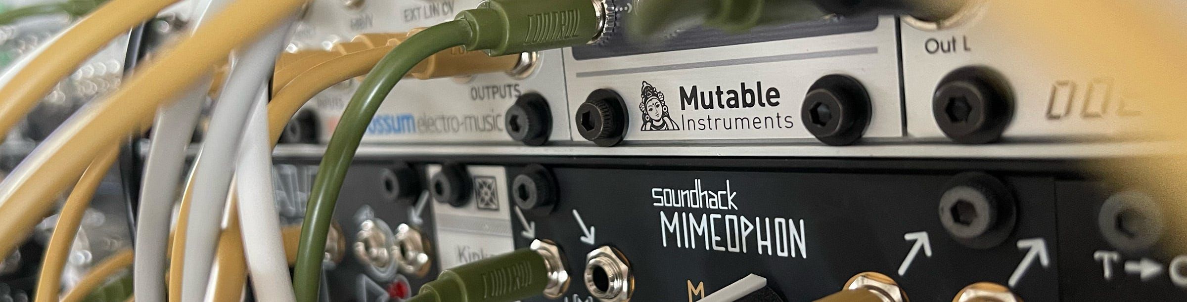 The veins of your (my) modular synth article header