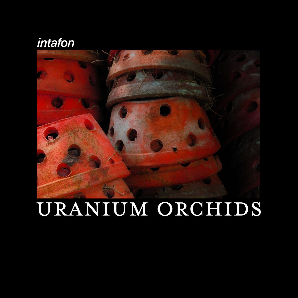 URANIUM ORCHIDS cover artwork